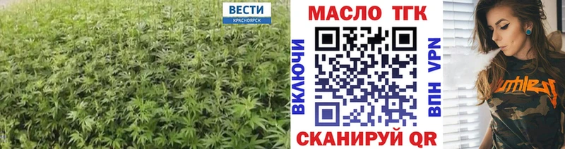 Купить где  Фёдоровский  ТГК вейп 